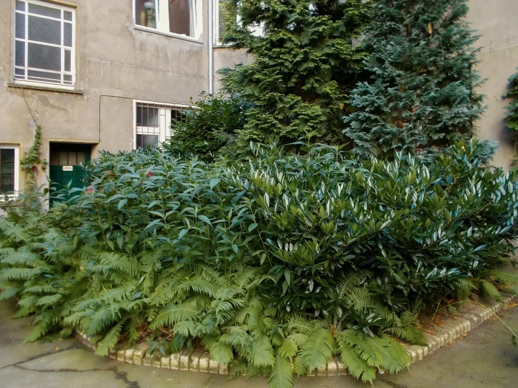 Innenhof, liebevoll gepflegt